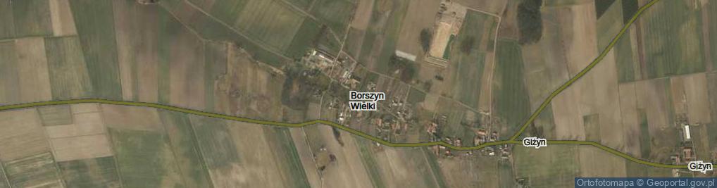 Zdjęcie satelitarne Borszyn Wielki ul.